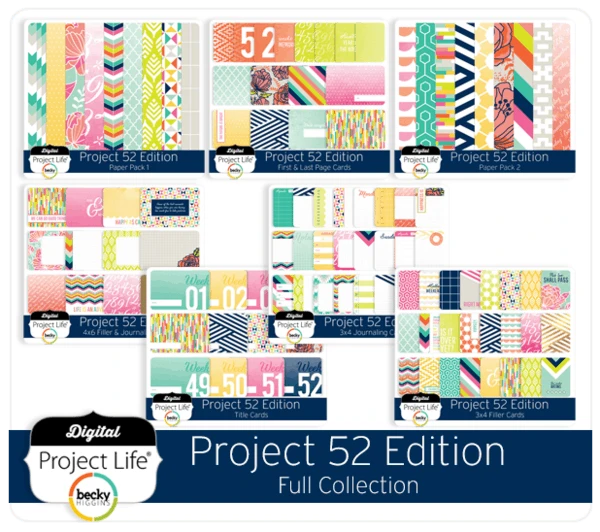 PROJECT LIFE (60) HONEY EDITION 4x6 CARDS scrapbooking 6 COLORS