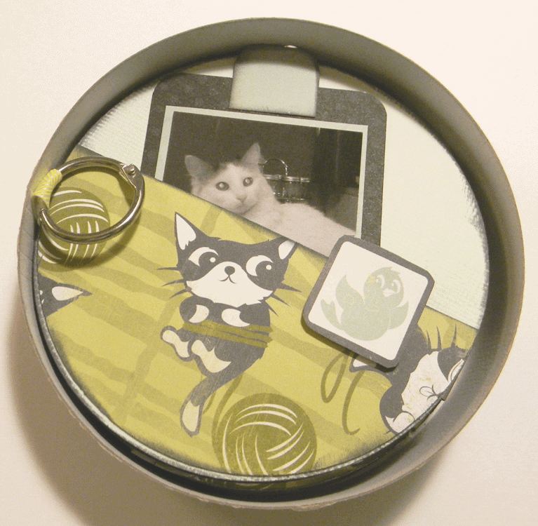 Trash it or Craft it? - www.michellejdesigns.com - A Brie Cheese container is great for a mini album cover!
