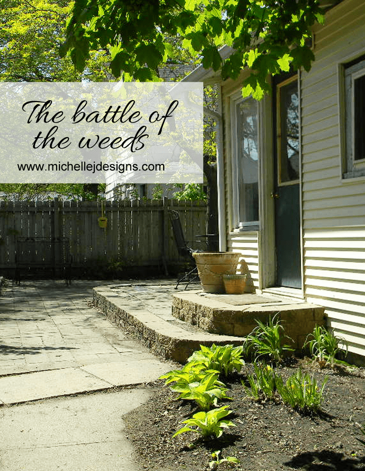 The Battle of the Weeds - www.michellejdesigns.com