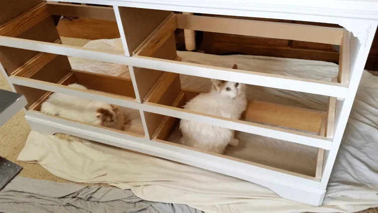 How to Restore Your Furniture Back To Fabulous - www.michellejdesigns.com - Come see how we restored this worn out dresser back to a fabulous piece of furniture!