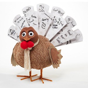 Thanksgiving-Day-Humor-and-style - www.michellejdesigns.com - Add some humor and style to your Thanksgiving holiday meal this year with products from Swoozies!