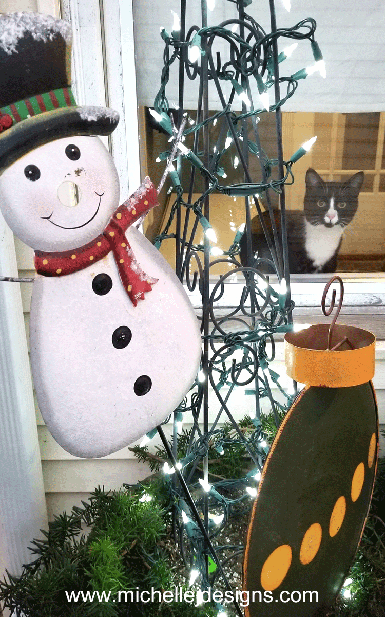 Each year I try to create some Holiday porch decor. It is my back door where friends come into the house. I try to make it festive and fun!