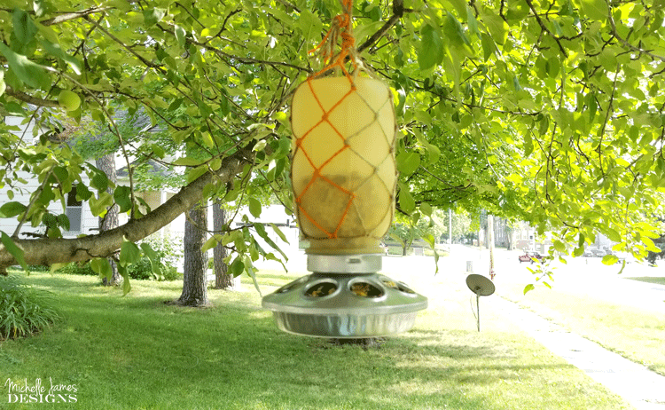 Birds need food all year long. Create a fall mason jar hanging bird feeder for them during the fall months when the weather starts to turn - www.michellejdesigns.com