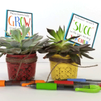 Create a diy mason jar teacher gift this year with succulents that will grow and be enjoyed all year long. - www.michellejdesigns.com