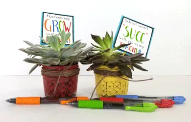 Create a diy mason jar teacher gift this year with succulents that will grow and be enjoyed all year long. - www.michellejdesigns.com