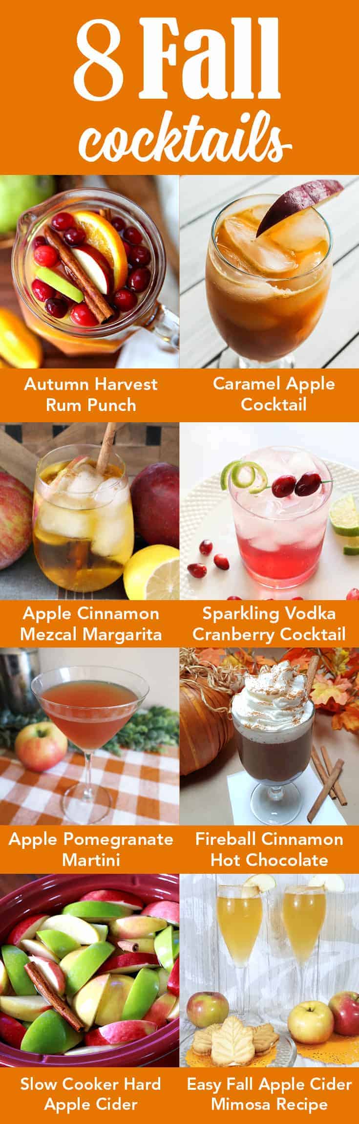 Easy Fall Apple Cider Mimosa Recipe Michelle James Designs,Gas Grills On Clearance