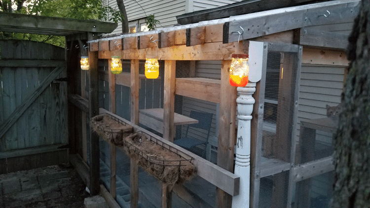 All four hanging lights lit up at dusk