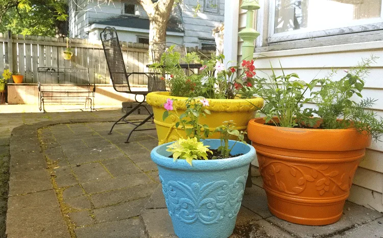 Three large foam planters at the backdoor filled with plants with the patio space and fence in the background.