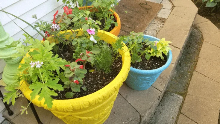 Three large foam painted planters in teal, harvest yellow and sunset orange that sit next to the bag door.