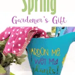 Garden Gift Basket DIY Idea