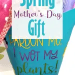 Finished Mother's Day garden gift basket