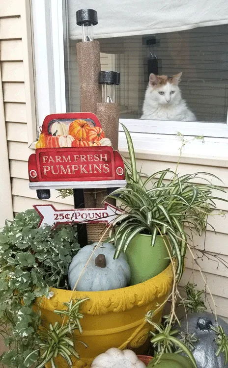 Finished Fall Solar Light Decor