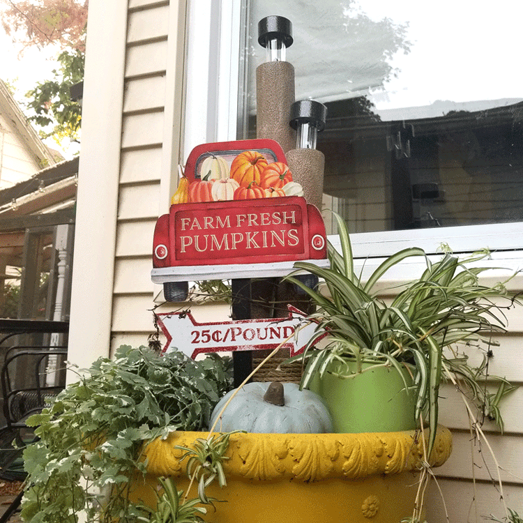 DIY Fall Solar Light Decor Michelle James Designs