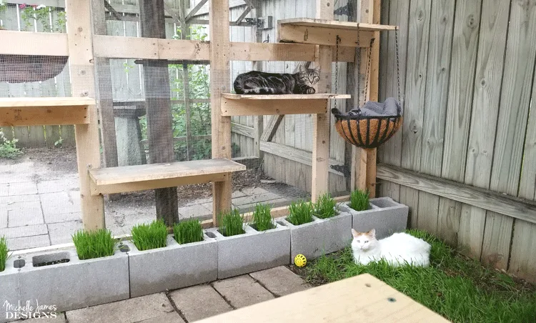 The inside of the catio with 2 cats relaxing in the outdoors.