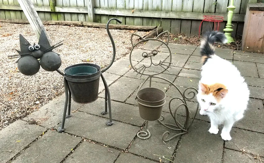 Metal outdoor cat shaped planters before being painted.  They are brown and boring.