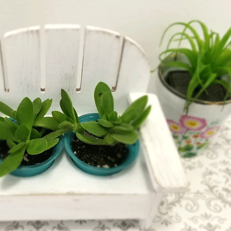 Chalk Paint For Glass Succulent Vases Michelle James Designs