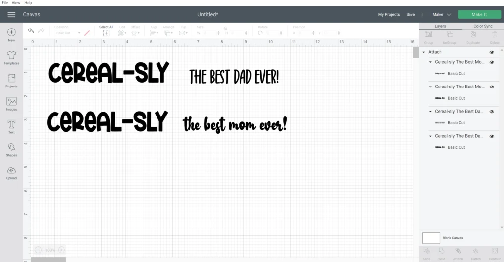 Screen shot in Cricut Design space of how the text is set up for cutting.