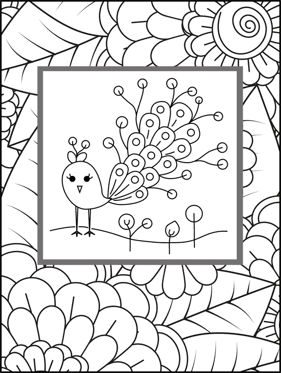 Peacock Coloring Page