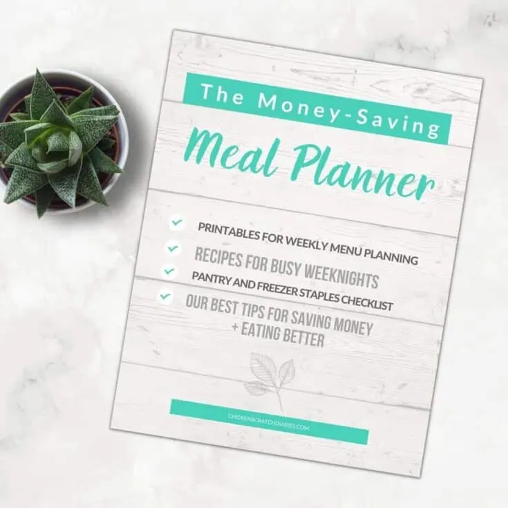 Image for The Money-Saving Meal Planner