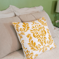 This throw pillow is a stencil kit complete with all the tools and ready to be painted