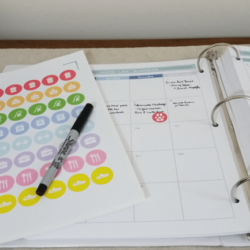 These free planner stickers can be printed then cut on the Silhouette Cameo. They are perfect for adding even more organization to your planner!