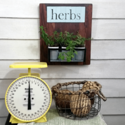 I have always wanted an herb garden. I am not sure it will grow in my light but I am going to try. This upcycled, small herb garden is perfect. www.michellejdesigns.com