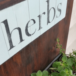 I have always wanted an herb garden. I am not sure it will grow in my light but I am going to try. This upcycled, small herb garden is perfect. www.michellejdesigns.com