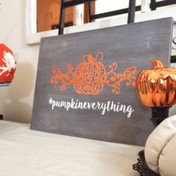 An easy way to create a fall wooden sign using the Silhouette Cameo and DecoArt! - www.michellejdesigns.com