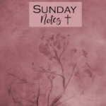 Sunday Notes Book