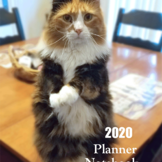 Funny and cute calico cat cover for 2020 planner book
