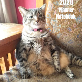2020 planner book with funny tabby cat on the front cover
