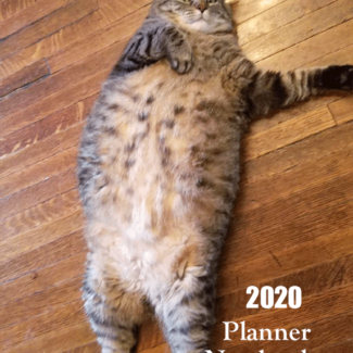 2020 Planner book with funny tabby cat on the cover