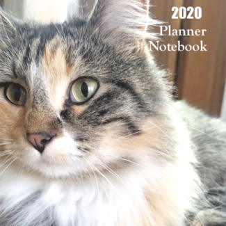 2020 Planner Book with cute tabby mix cat on front cover