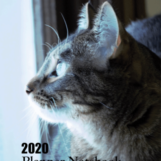 Cute tabby cat picture for the front of the 2020 planner book