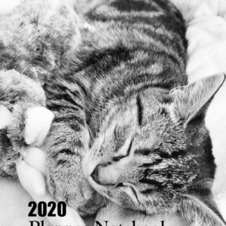 Cute tabby kitten picture for the 2020 planner book