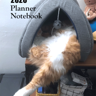 2020 Planner book with funny orange tabby cat on the front cover